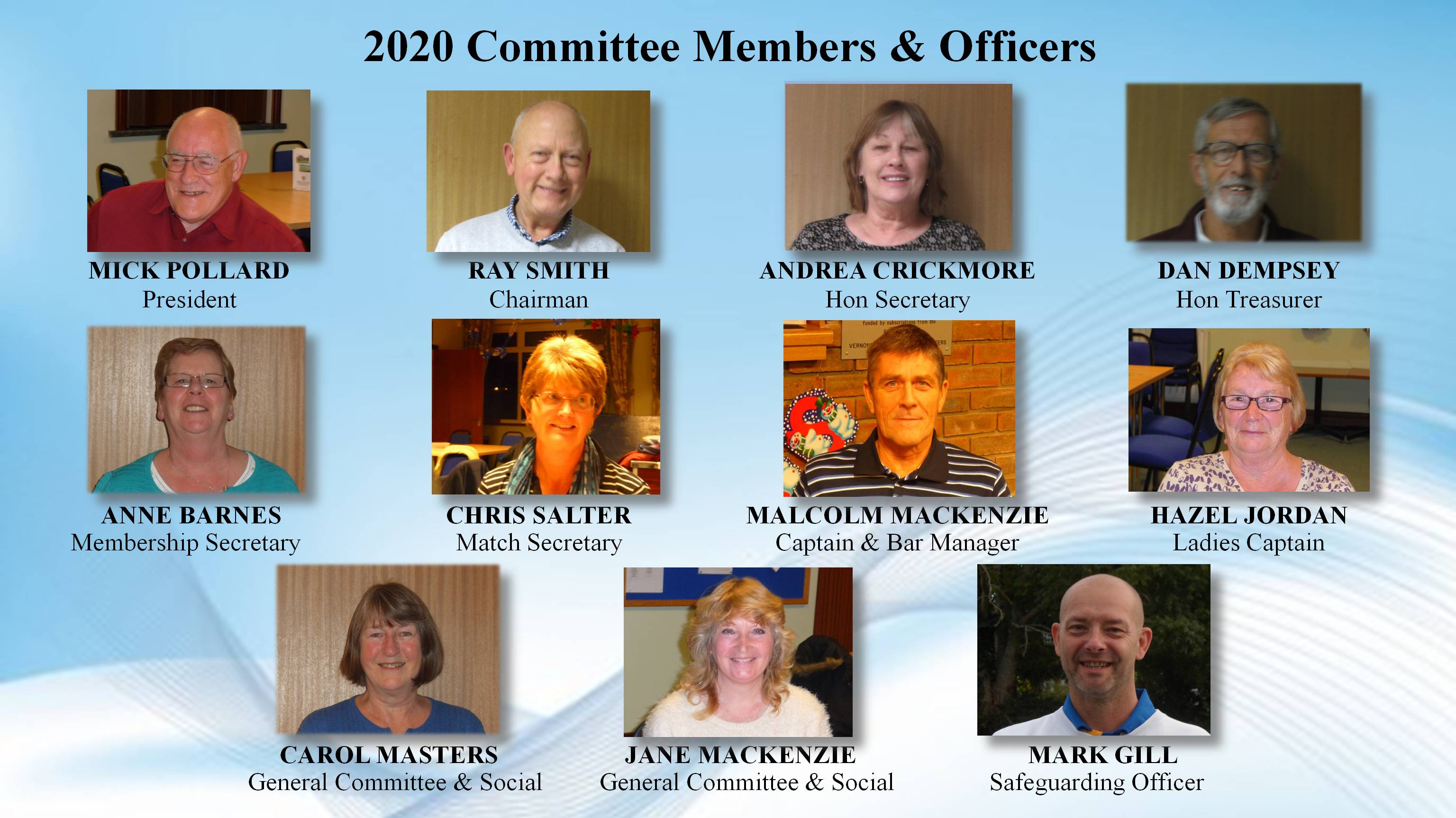 burgess hill bowls club commitee group